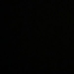 Meet your Posher, Bart